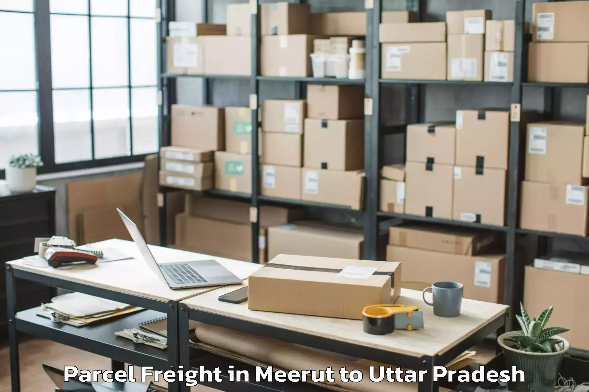 Top Meerut to Goshainganj Parcel Freight Available